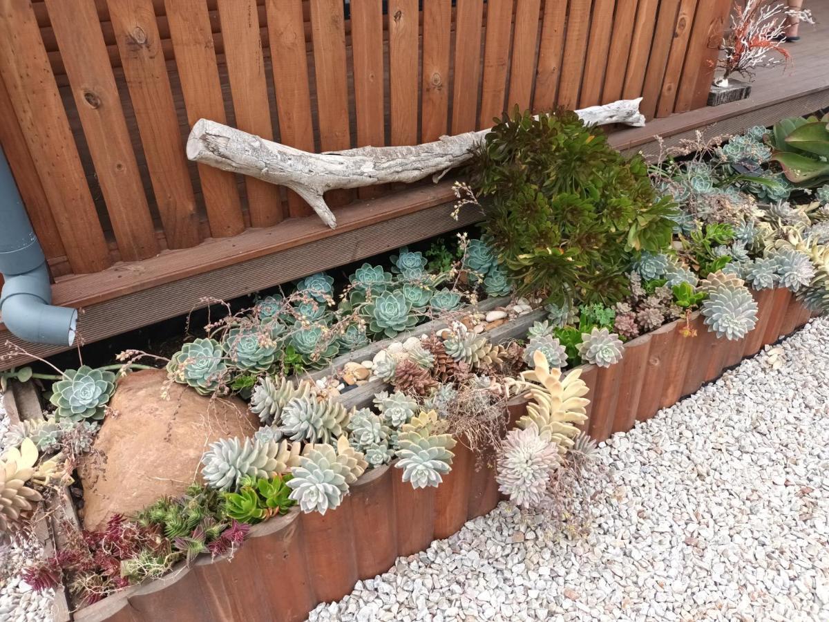 קולצ'סטר Chameleon Lodge מראה חיצוני תמונה