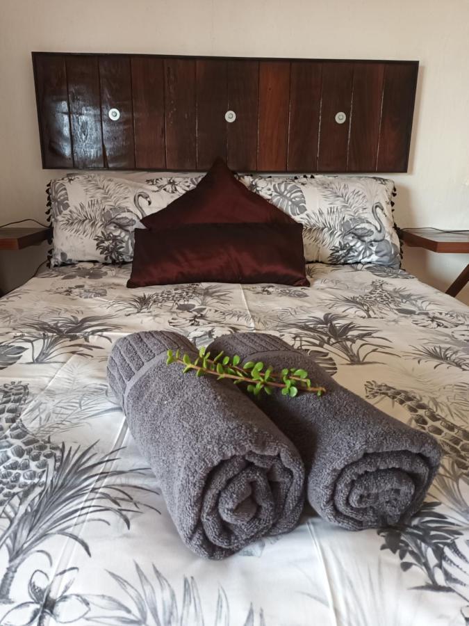 קולצ'סטר Chameleon Lodge מראה חיצוני תמונה
