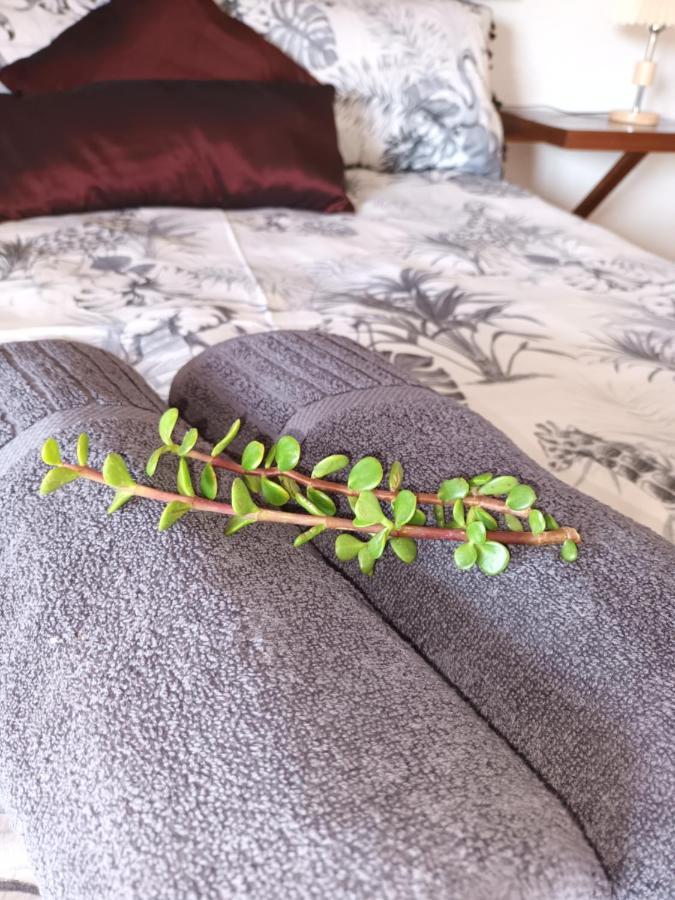 קולצ'סטר Chameleon Lodge מראה חיצוני תמונה