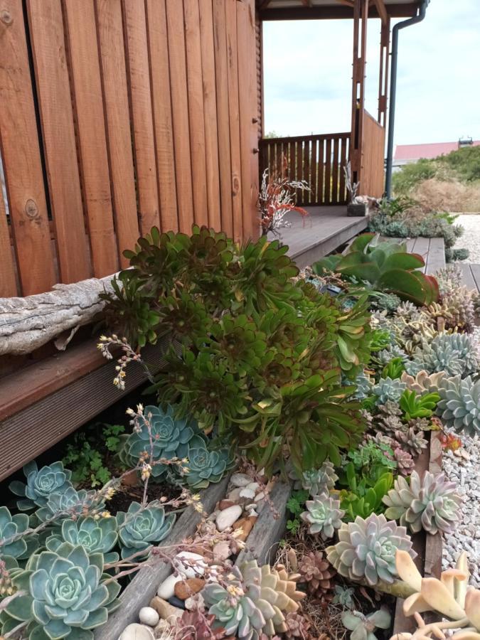 קולצ'סטר Chameleon Lodge מראה חיצוני תמונה